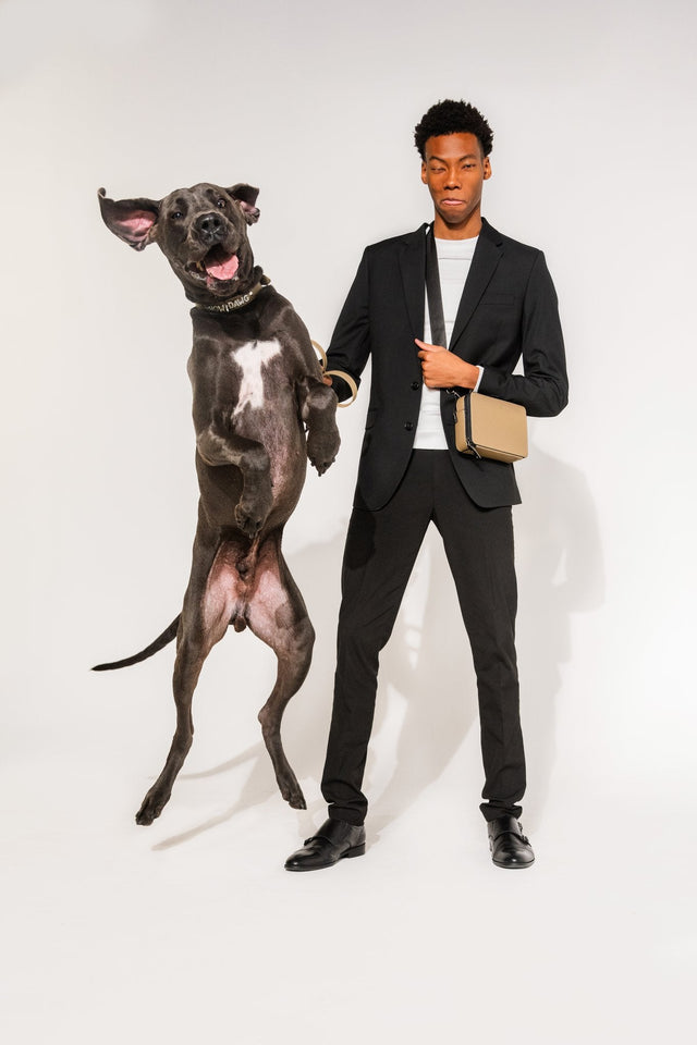 Boosting Pet Esteem with Stylish Accessories