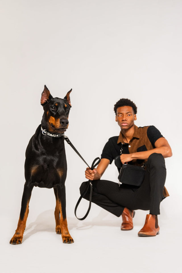 The Confidence Duo: You Lead, They Follow