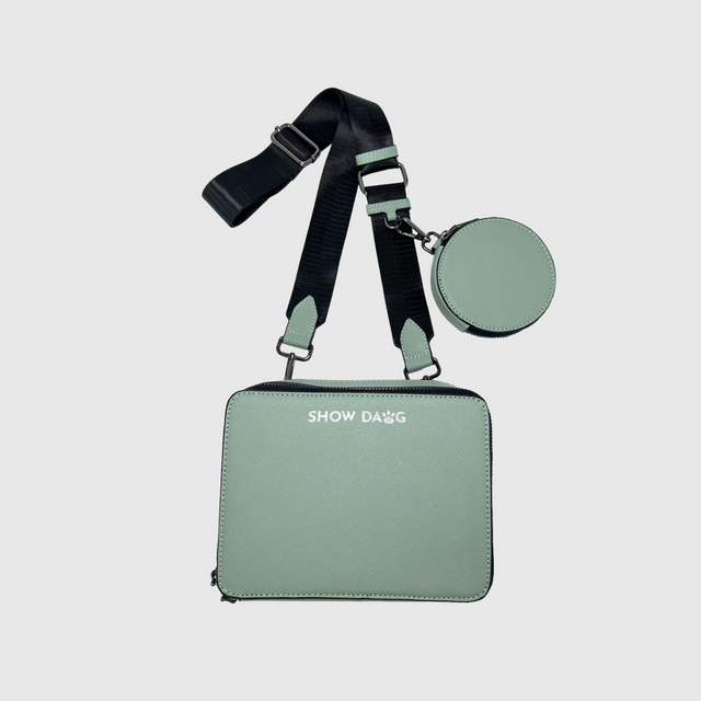 Front side mint sage green vegan leather dog walking bag with detachable doggie treat pouch 