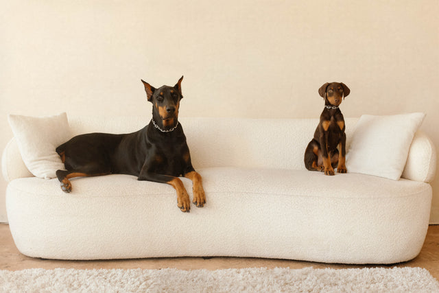 Prince and Posh