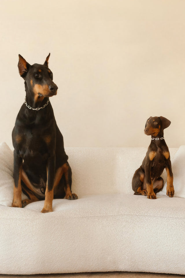 Prince and Posh